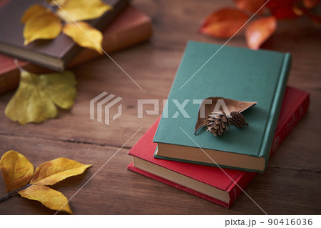 秋の読書イメージ 紅葉した落ち葉と本 秋の読書イメージ 紅葉した落ち葉と本 90416036
