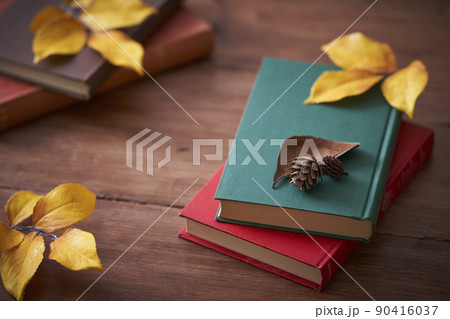 秋の読書イメージ 紅葉した落ち葉と本 秋の読書イメージ 紅葉した落ち葉と本 90416037