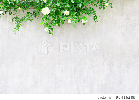 オフホワイトのばらと枝の花と葉