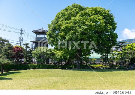 東海道の宿場町　由比　5月の風景 90416942