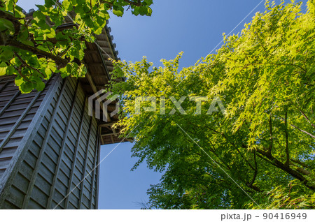 東海道の宿場町　由比　5月の風景 90416949
