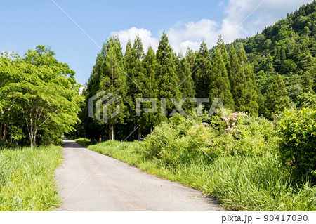 【国道157号】温見ストレート 【国道157号】温見ストレート 90417090