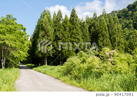 【国道157号】温見ストレート 【国道157号】温見ストレート 90417091
