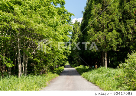 【国道157号】温見ストレート 【国道157号】温見ストレート 90417093