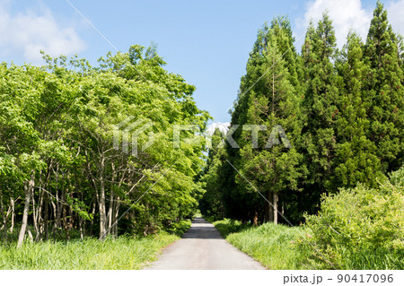 【国道157号】温見ストレート 【国道157号】温見ストレート 90417096