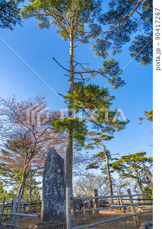 日本三景・松島 西行戻しの松と青空(宮城県松島町) 日本三景・松島 西行戻しの松と青空(宮城県松島町) 90417267