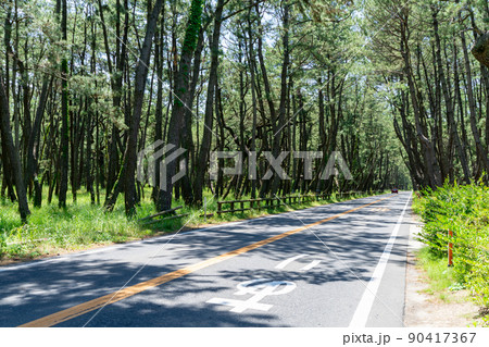 《佐賀県》虹の松原 《佐賀県》虹の松原 90417367
