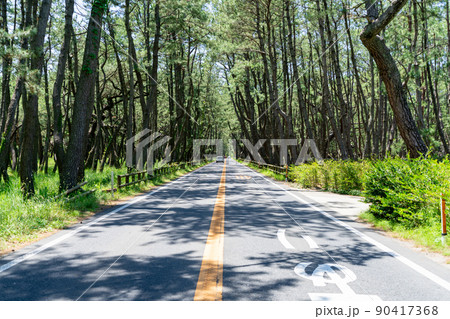 《佐賀県》虹の松原 《佐賀県》虹の松原 90417368