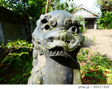 狛犬 狛犬 90417369