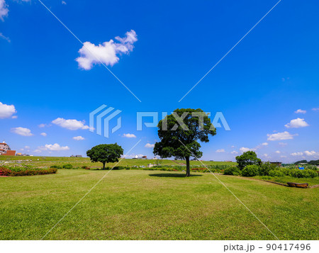 6月の晴天の江戸川堤の景色 6月の晴天の江戸川堤の景色 90417496
