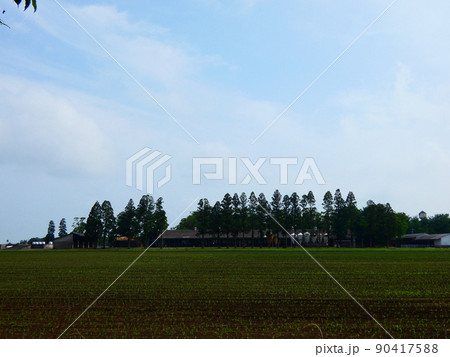 酪農 酪農 90417588