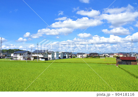 2021年。児島駅から岡山駅までの瀬戸大橋線の風景 2021年。児島駅から岡山駅までの瀬戸大橋線の風景 90418116