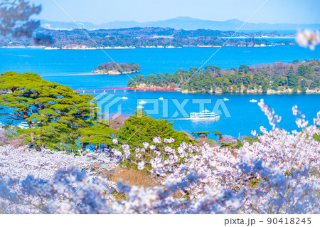 日本三景・松島 西行戻しの松公園から望む桜と松島湾(宮城県松島町) 日本三景・松島 西行戻しの松公園から望む桜と松島湾(宮城県松島町) 90418245