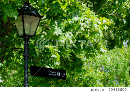 Street lantern wc city public architecture outdoor old light post, from retro sky in vintage for blue tower, view copenhagen. Antique englischer munich, 90418806