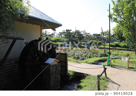 青空のお花畑の水車小屋 90419028