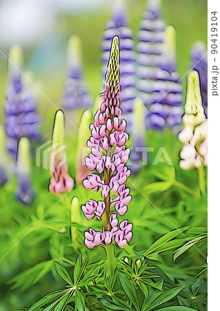 パステル調　”ルピナス”　イラストイメージ 90419104