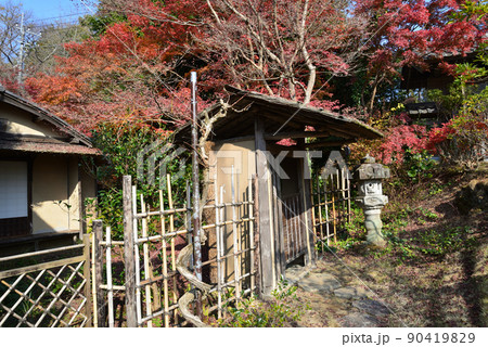 春風萬里荘　2021-11-20　＃89 90419829