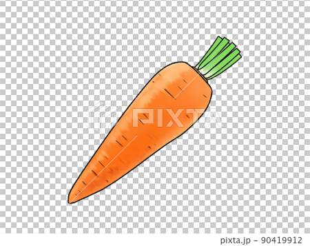 Carrot vegetables 90419912