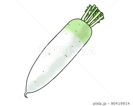 大根 野菜 90419914