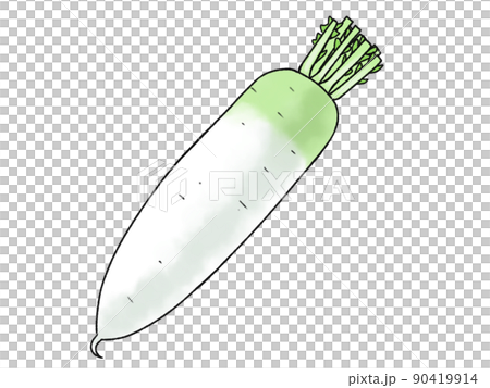 Radish vegetables 90419914