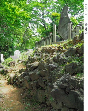 埼玉県志木市・田子山富士塚 埼玉県志木市・田子山富士塚 90420364