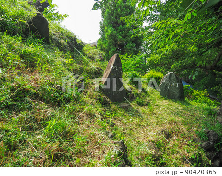 埼玉県志木市・田子山富士塚 埼玉県志木市・田子山富士塚 90420365