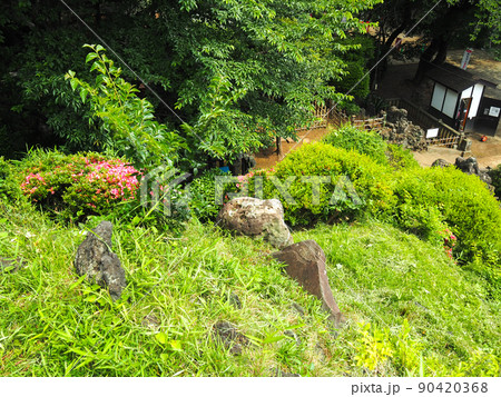 埼玉県志木市・田子山富士塚 埼玉県志木市・田子山富士塚 90420368