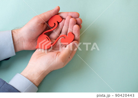 The urinary system in man palm hand on blue background 90420443