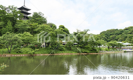 新緑の眩しい神奈川県横浜市中区本牧の景勝地の三渓園 新緑の眩しい神奈川県横浜市中区本牧の景勝地の三渓園 90420631