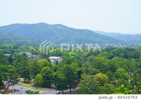 奈良公園・三笠山方面 90420703