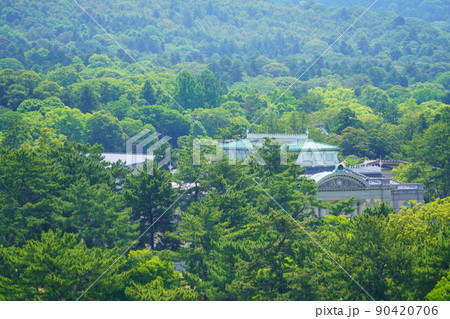 美しい森の中にたたずむ奈良国立博物館 90420706