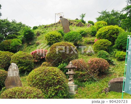 埼玉県志木市・田子山富士塚 埼玉県志木市・田子山富士塚 90420723