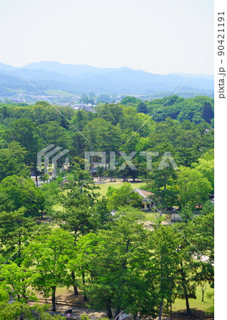 六月の奈良公園・奈良ホテル方面を望む 六月の奈良公園・奈良ホテル方面を望む 90421191