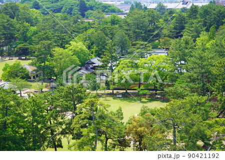 緑の奈良公園を見下ろす・奈良ホテル方面 90421192