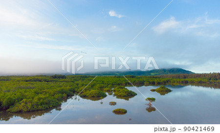 【空撮】石垣島 名蔵アンパル 【空撮】石垣島 名蔵アンパル 90421469