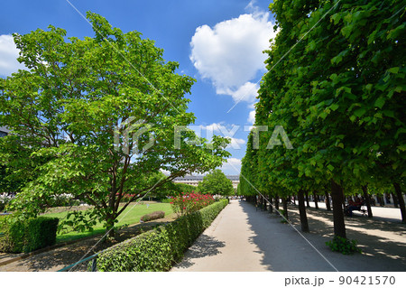 フランス、パリ。晴れた日のパレ・ロワイヤル庭園。2022年5月9日撮影。 フランス、パリ。晴れた日のパレ・ロワイヤル庭園。2022年5月9日撮影。 90421570