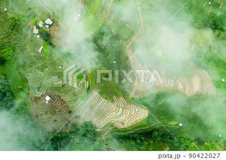 Rice terraces. Baan Pa Pong Pieng, 90422027