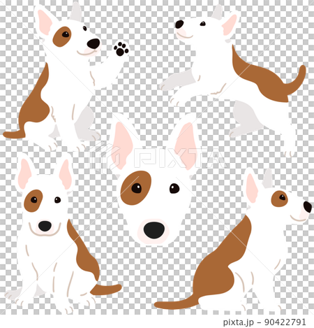 沒有主線的簡單可愛的鬥牛梗插圖集 90422791