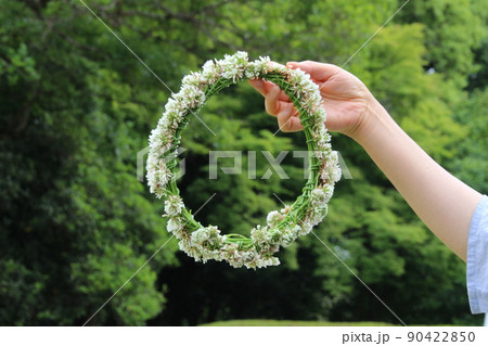 シロツメクサの花冠 シロツメクサの花冠 90422850