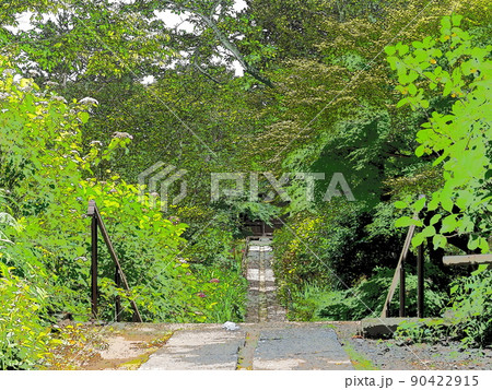 初夏の妙法寺 初夏の妙法寺 90422915