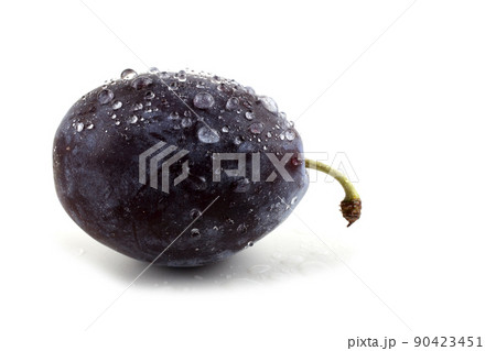 Black plum 90423451
