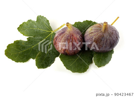 Figs on leaves 90423467