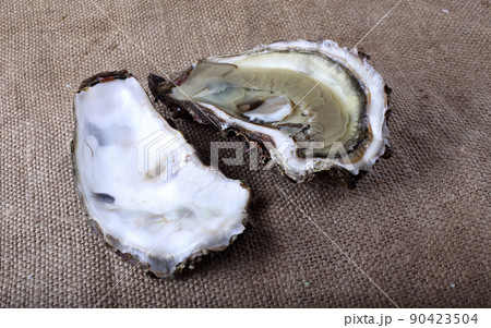 Oyster on bagging Oyster on bagging 90423504