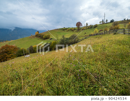 Cloudy and foggy day autumn mountains scene. Peaceful picturesque traveling, seasonal, nature and countryside beauty concept scene. Carpathian Mountains, Ukraine. 90424534