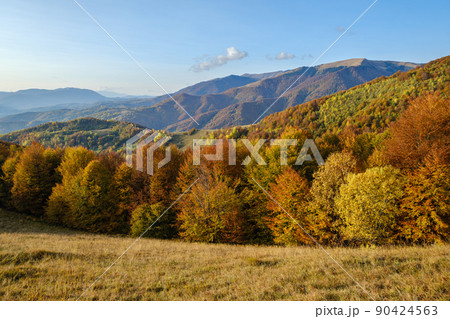 Autumn morning Carpathian Mountains calm picturesque scene, Ukraine. Peaceful traveling, seasonal, nature and countryside beauty concept scene. Autumn morning Carpathian Mountains calm picturesque scene, Ukraine. Peaceful traveling, seasonal, nature and countryside beauty concept scene. 90424563