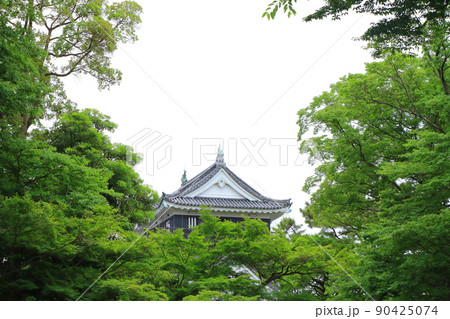 岡崎市、岡崎城の風景 岡崎市、岡崎城の風景 90425074