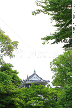 岡崎市、岡崎城の風景 90425075