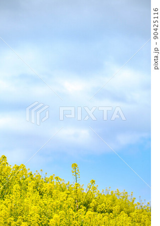コスモスパーク北野 コスモスパーク北野 90425116