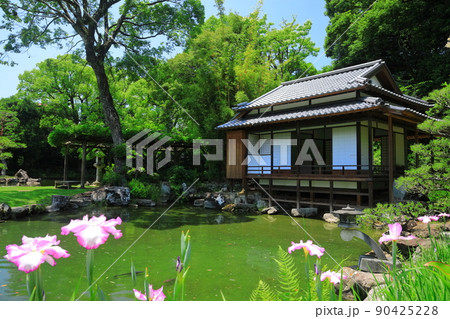【愛媛県】晴天の天赦園春雨亭（書屋） 90425228