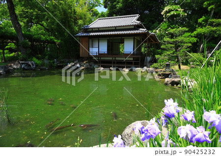 【愛媛県】晴天の天赦園春雨亭（書屋） 90425232